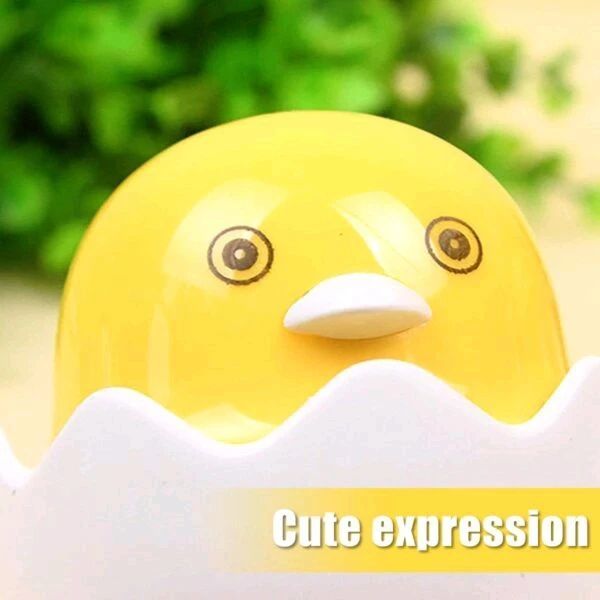 Duck Dim (1)