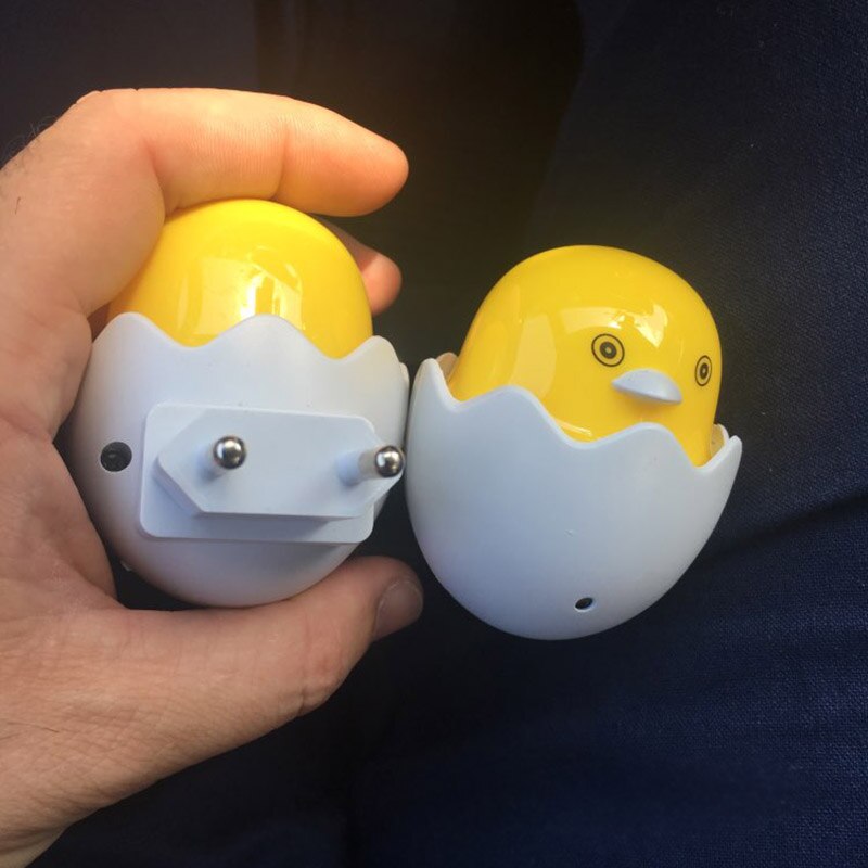 Duck Dim (2)