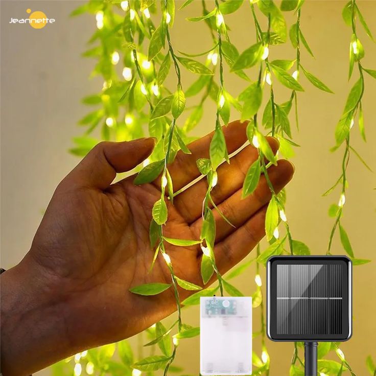 LEAF LIGHT (1)