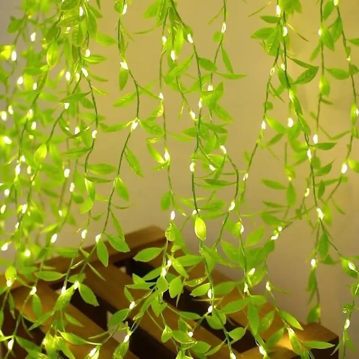 LEAF LIGHT (2)