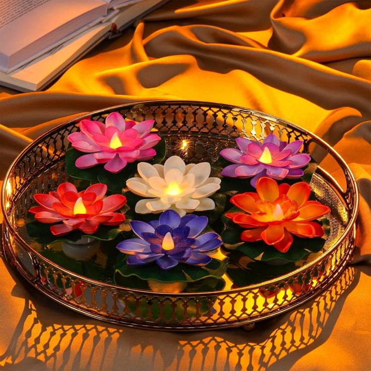 Lotus (1)