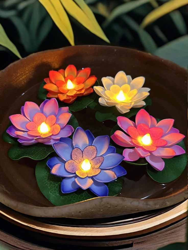 Lotus (2)