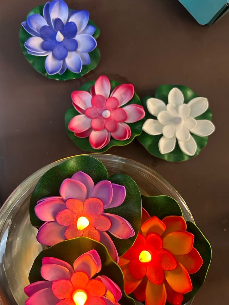 Lotus (3)
