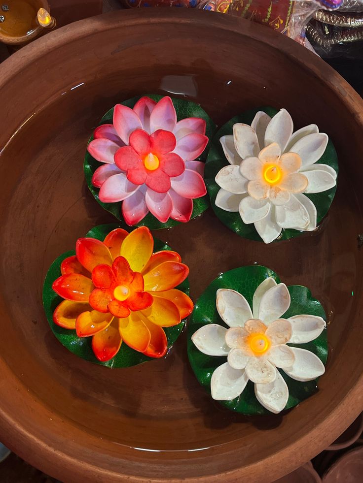 Lotus (5)