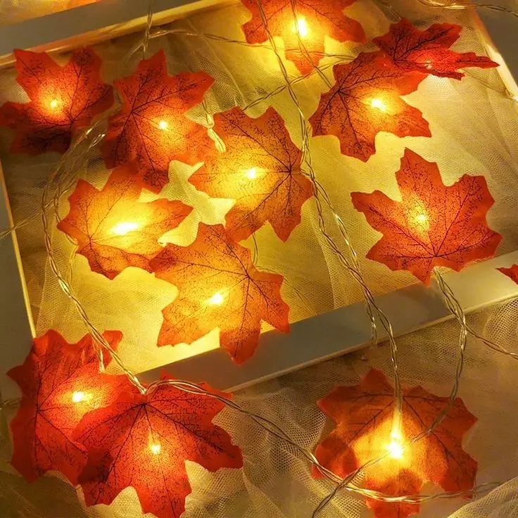 Maple Leaf LED Light (4)