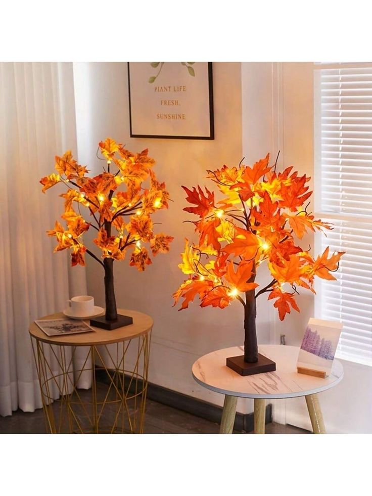 Maple tree (1)