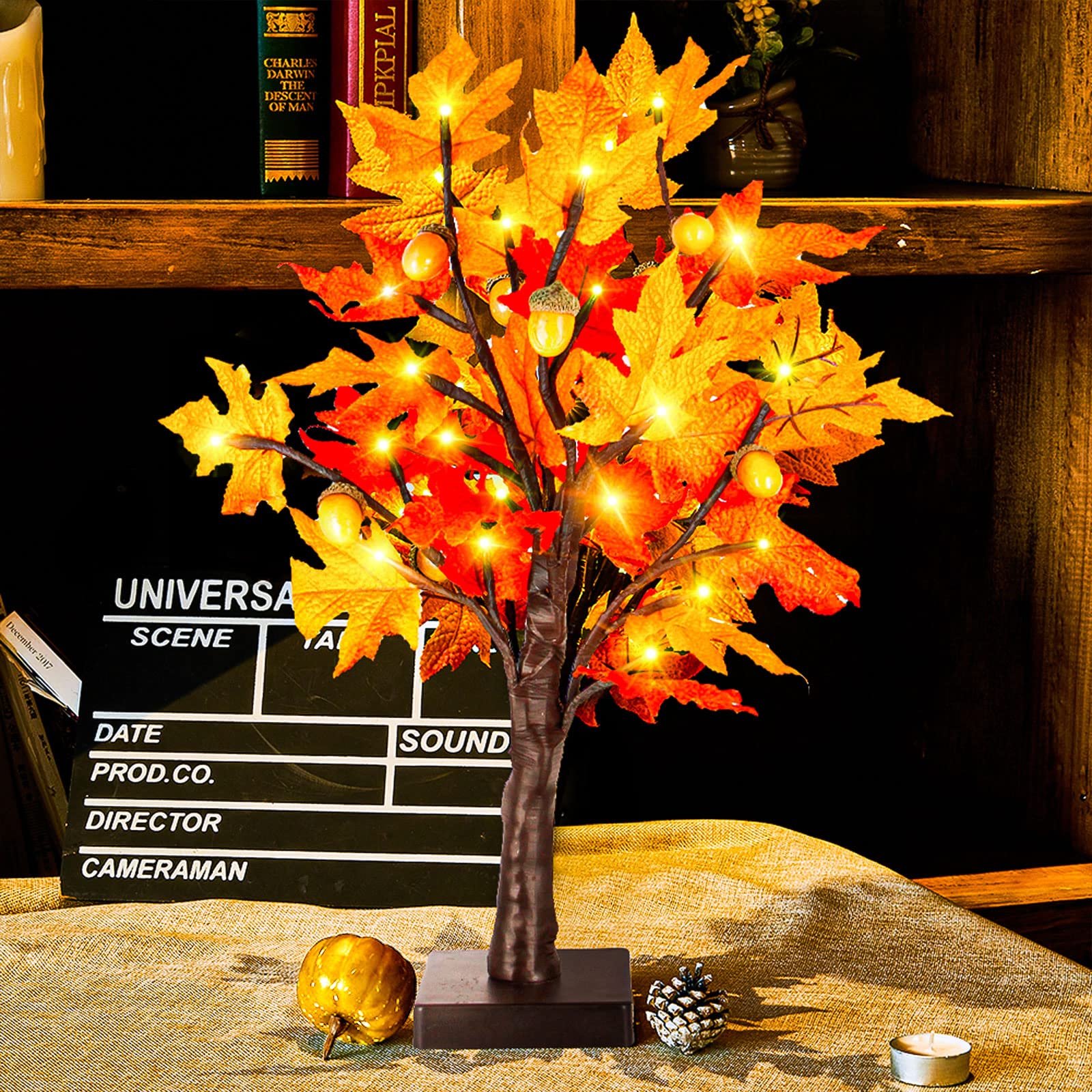 Maple tree (3)