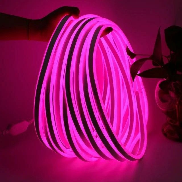 Neon Light (3)